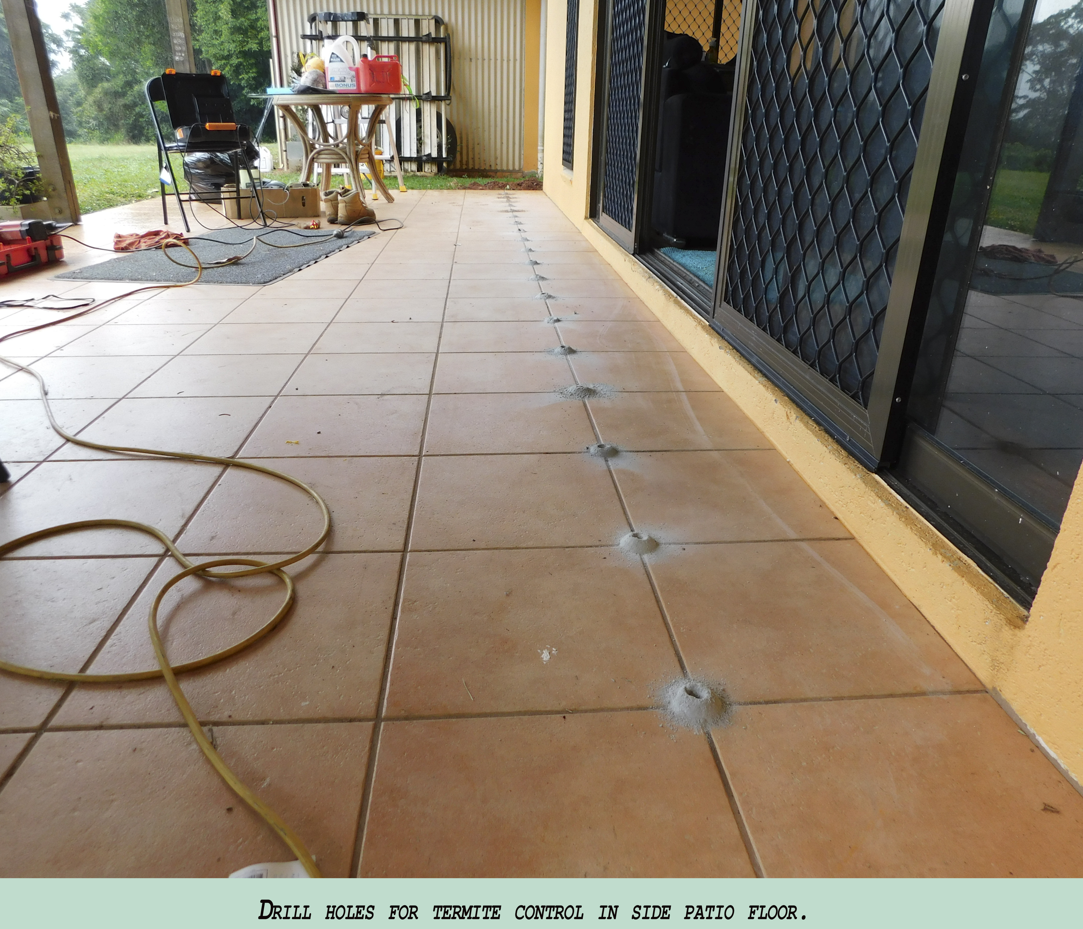 Cairns Termite Specialists - Logo