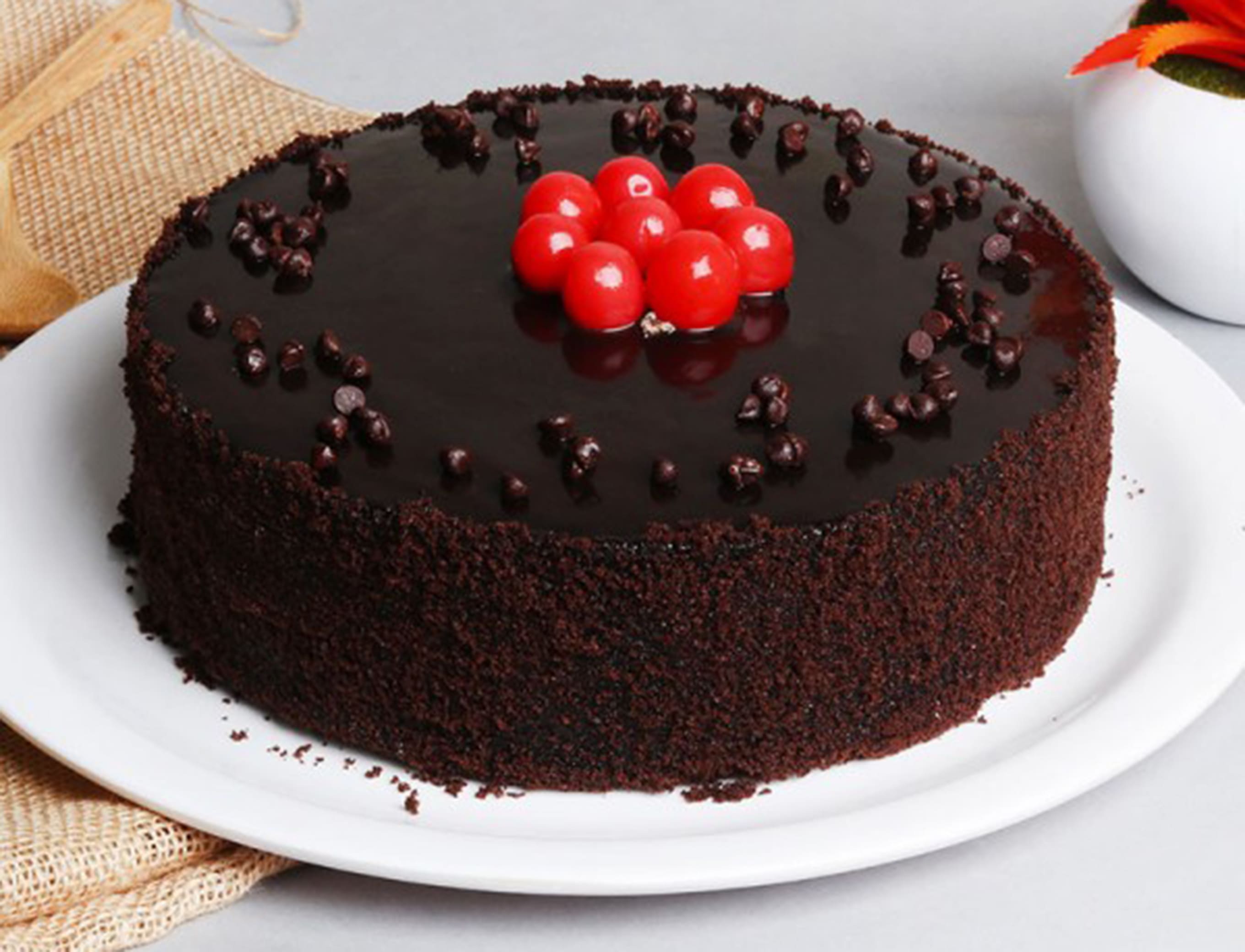 Cake Bahar - Logo