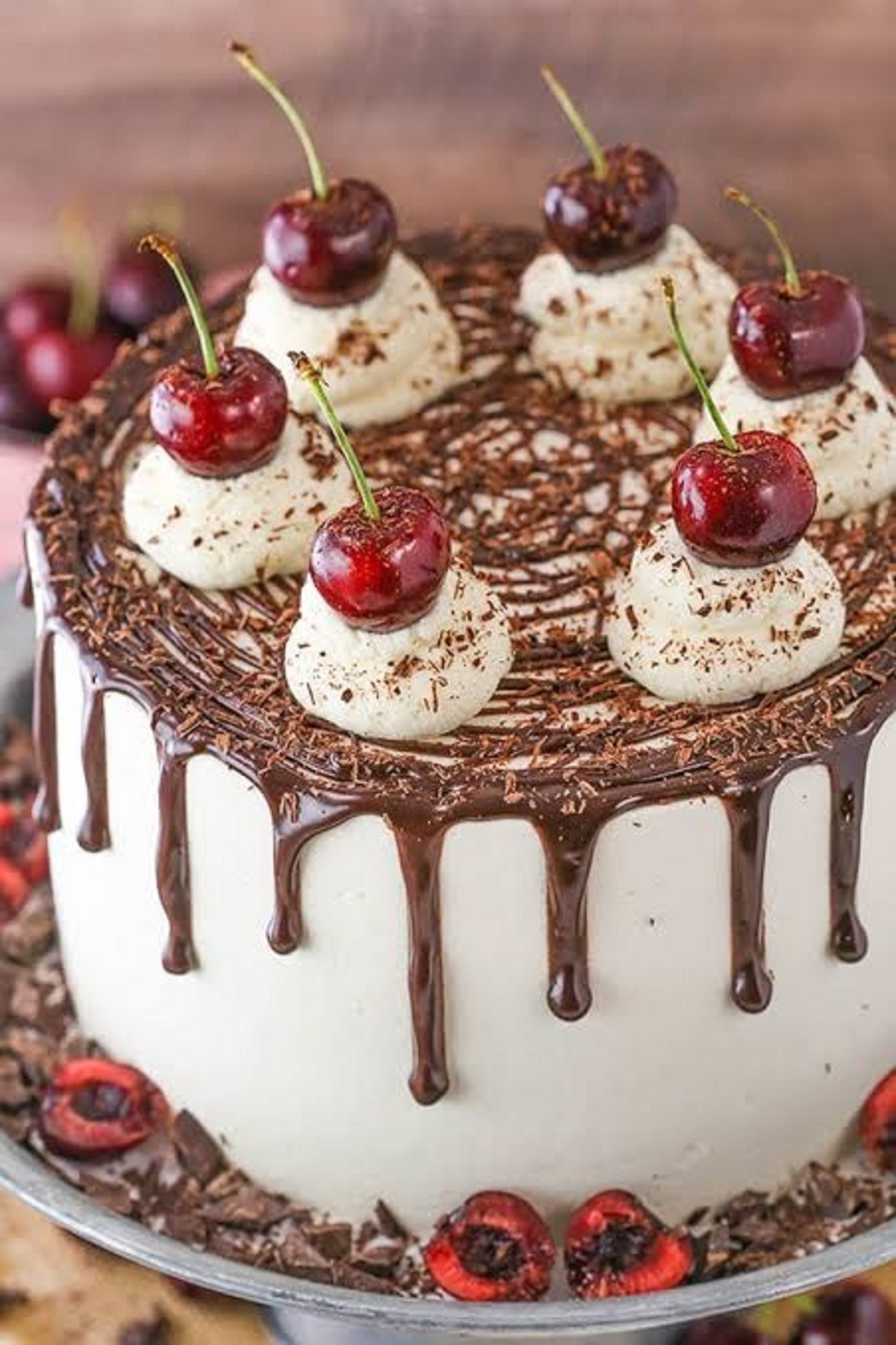 Cake Bazzar - Mansarovar - Logo