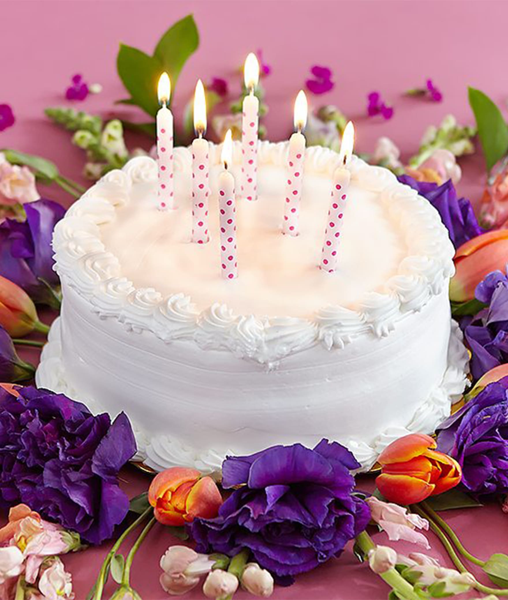 Cake Corner - Logo