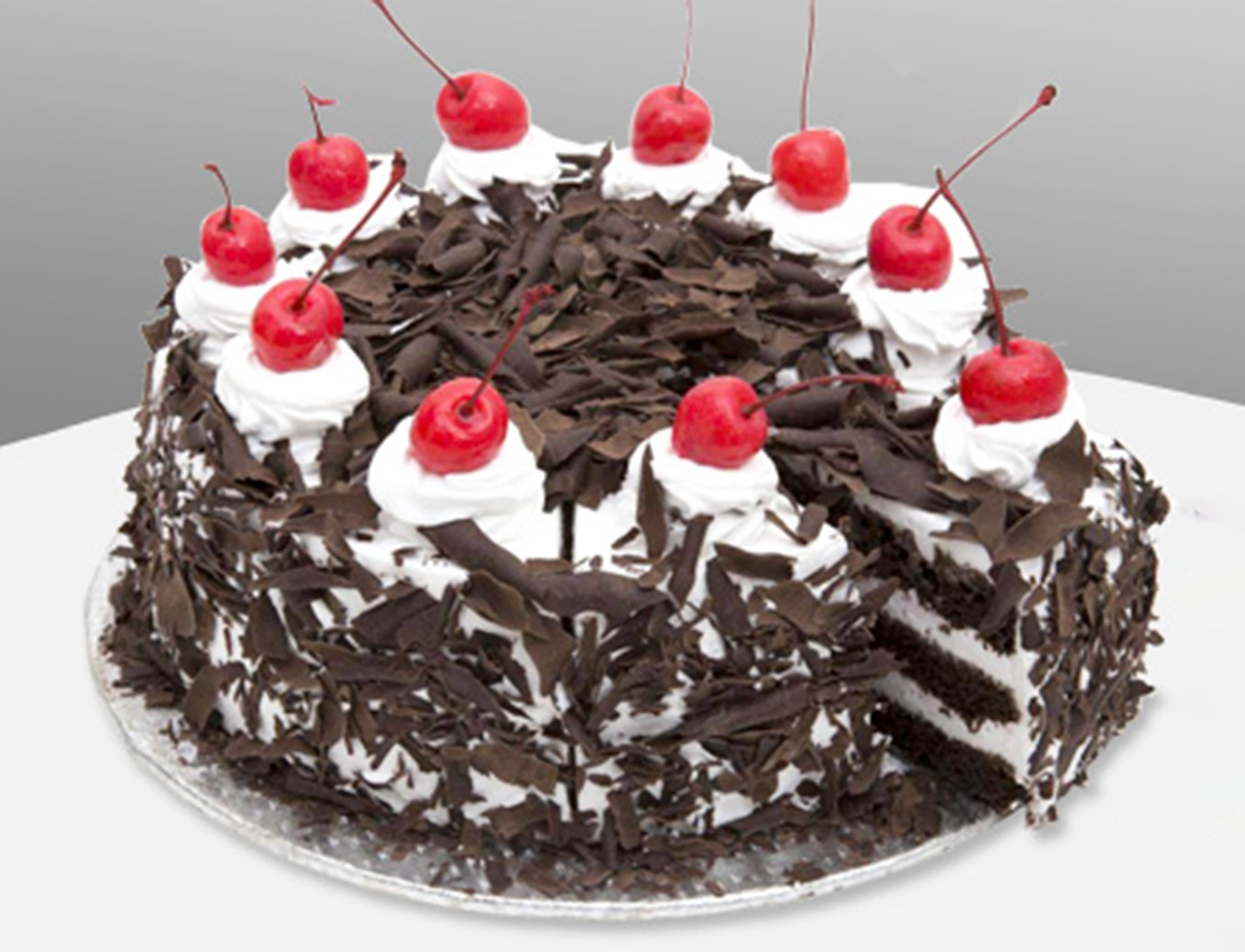 CAKE DAYNIGHT - Logo