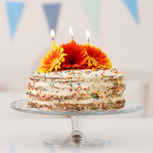 Cake Eat (Pure veg) - Logo