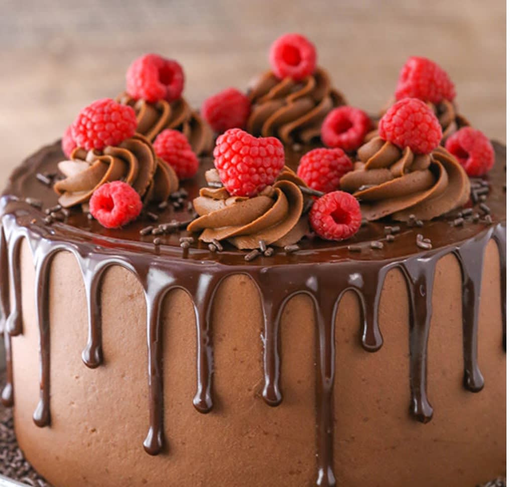 Cake N Pastry - Logo