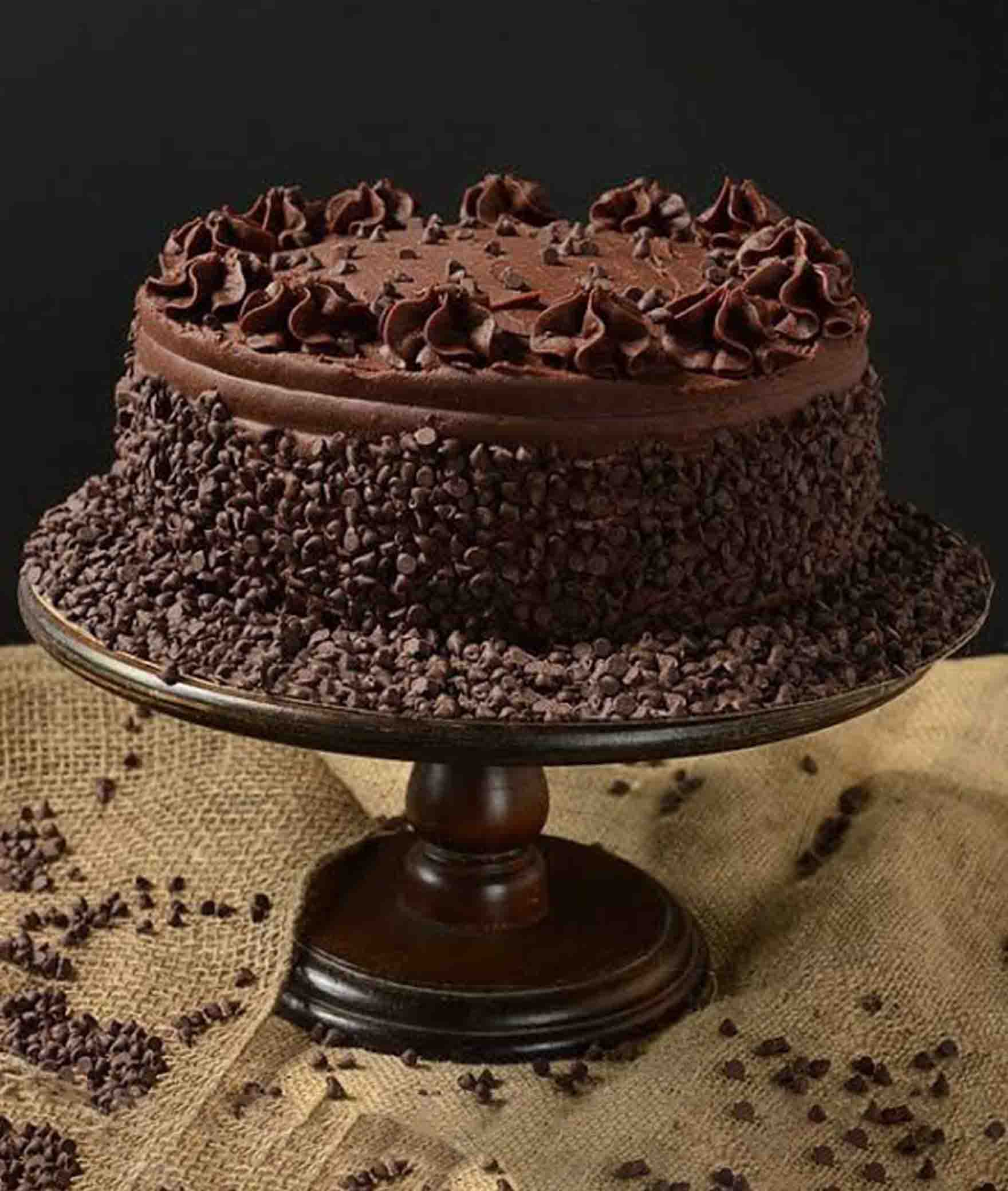 Cake-O-Cake - Logo
