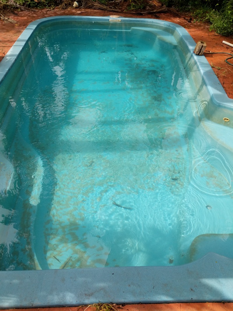 Calipso Pools & Spas - Logo