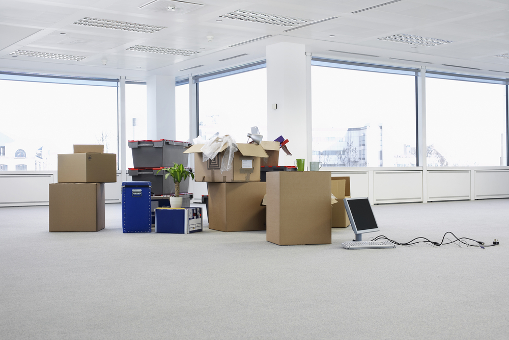 Caloundra Removals & Storage - Logo