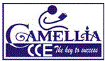 Camellia Institute of Technology & Management (CITM) - Logo