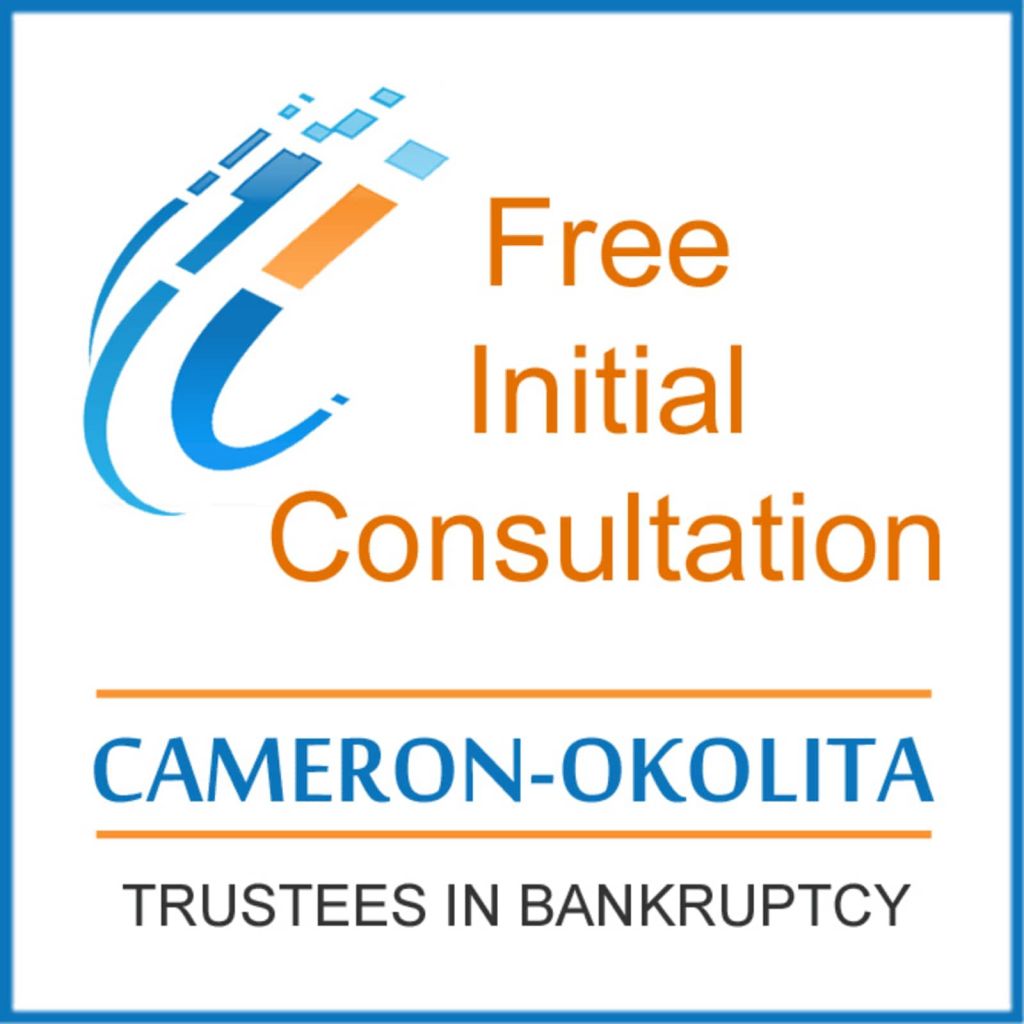 Cameron Okolita Inc - Logo
