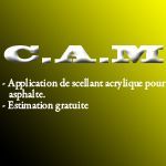 C.A.M - Logo
