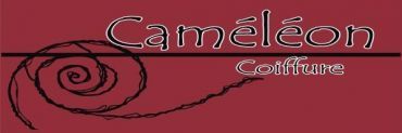 Caméléon Coiffure - Logo