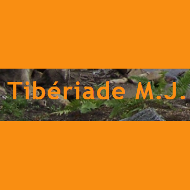 Camp Tibériade M.J. - Logo