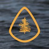 Camp White Pine - Logo