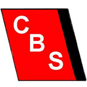 Canada Business Services Co - Logo