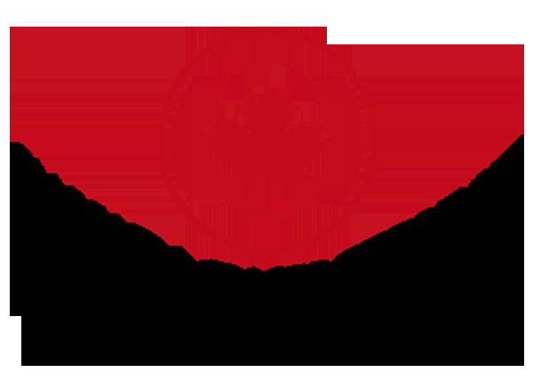 Canada Easy Service Consulting - Logo
