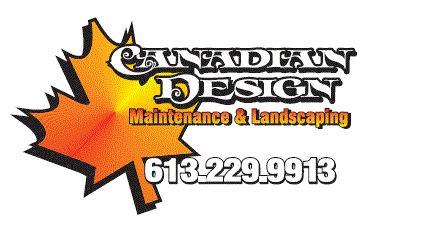 Canadian Design Maintenance &a; Landscaping - Logo