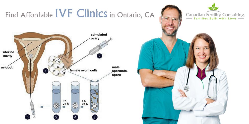 Canadian Fertility Consultants - Logo