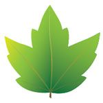Canadian Mattress Recycling Inc. - Logo