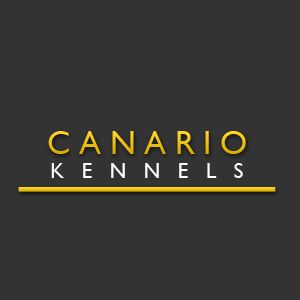 Canario Kennels - Logo