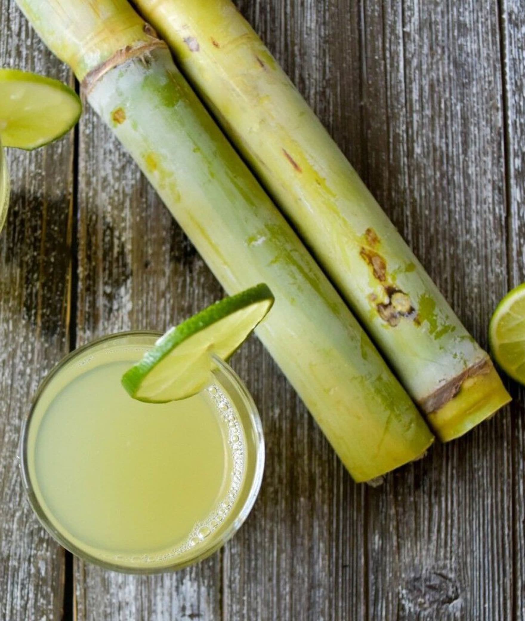 Cane Planet (Juice & Food) - Logo