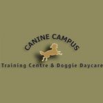 Canine Campus Training - Logo