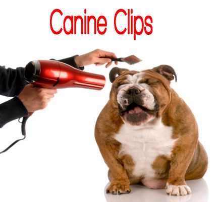 Canine Clips - Logo