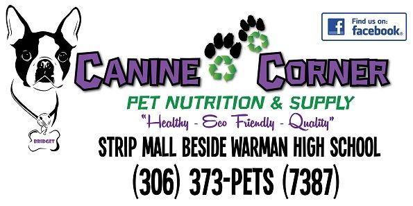 Canine Corner - Cover photo