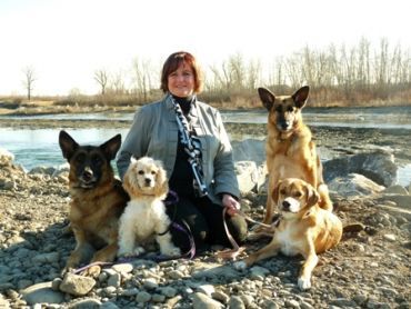 Canine In-Line - Logo