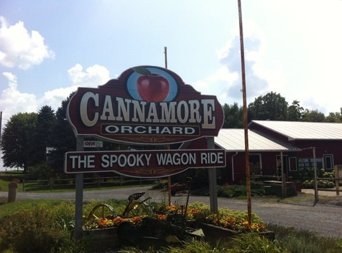 Cannamore Orchard - Cover photo