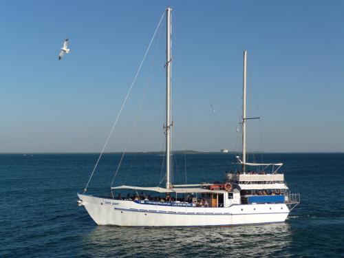 Cape Adieu Harbour Cruises - Logo