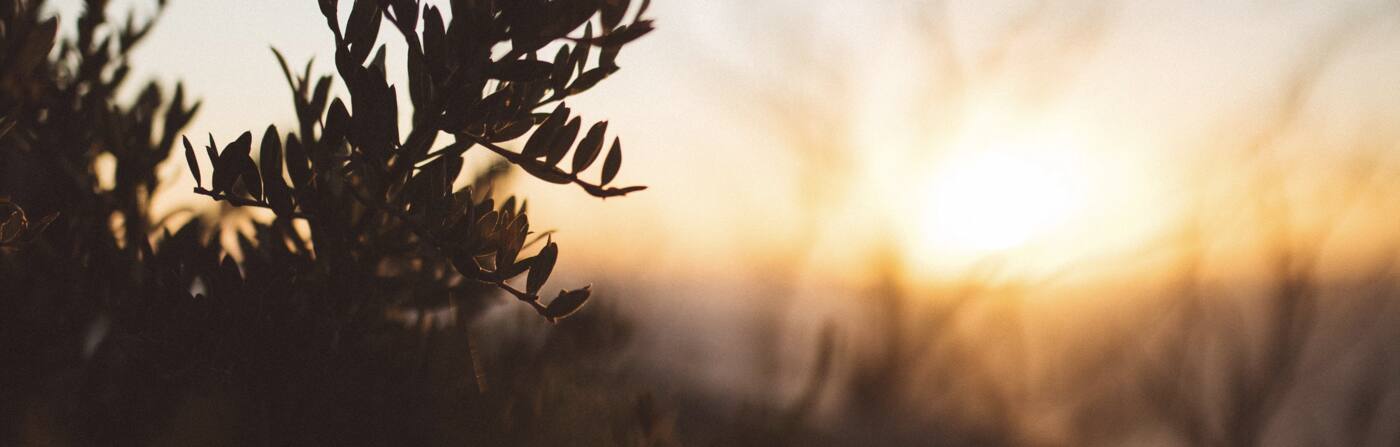 Cape to Cape Osteopathy - Cover photo