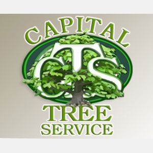Capital Tree Service - Logo