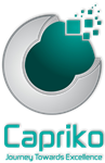 Capriko Smart Solutions Pvt Ltd 485839 - Logo