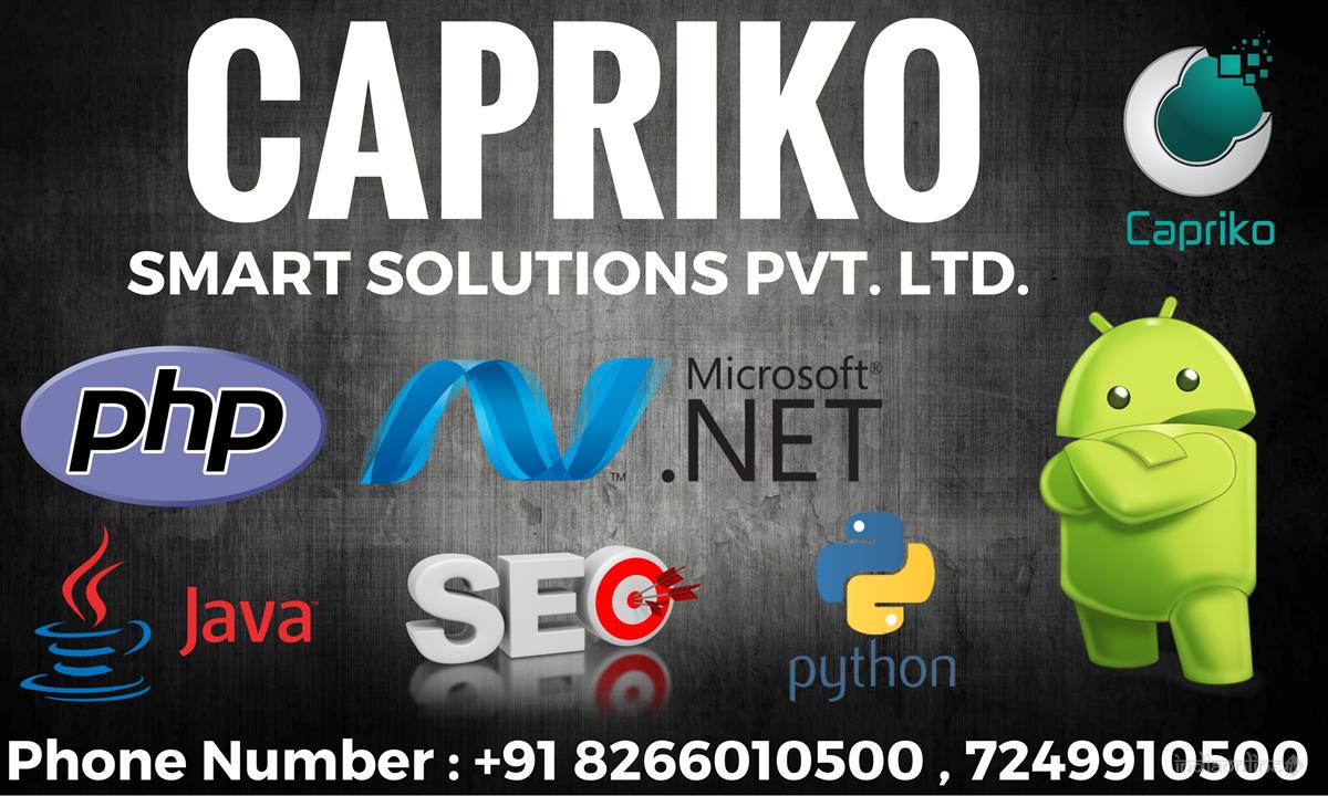 Capriko Smart Solutions Pvt Ltd 485839 - Cover photo