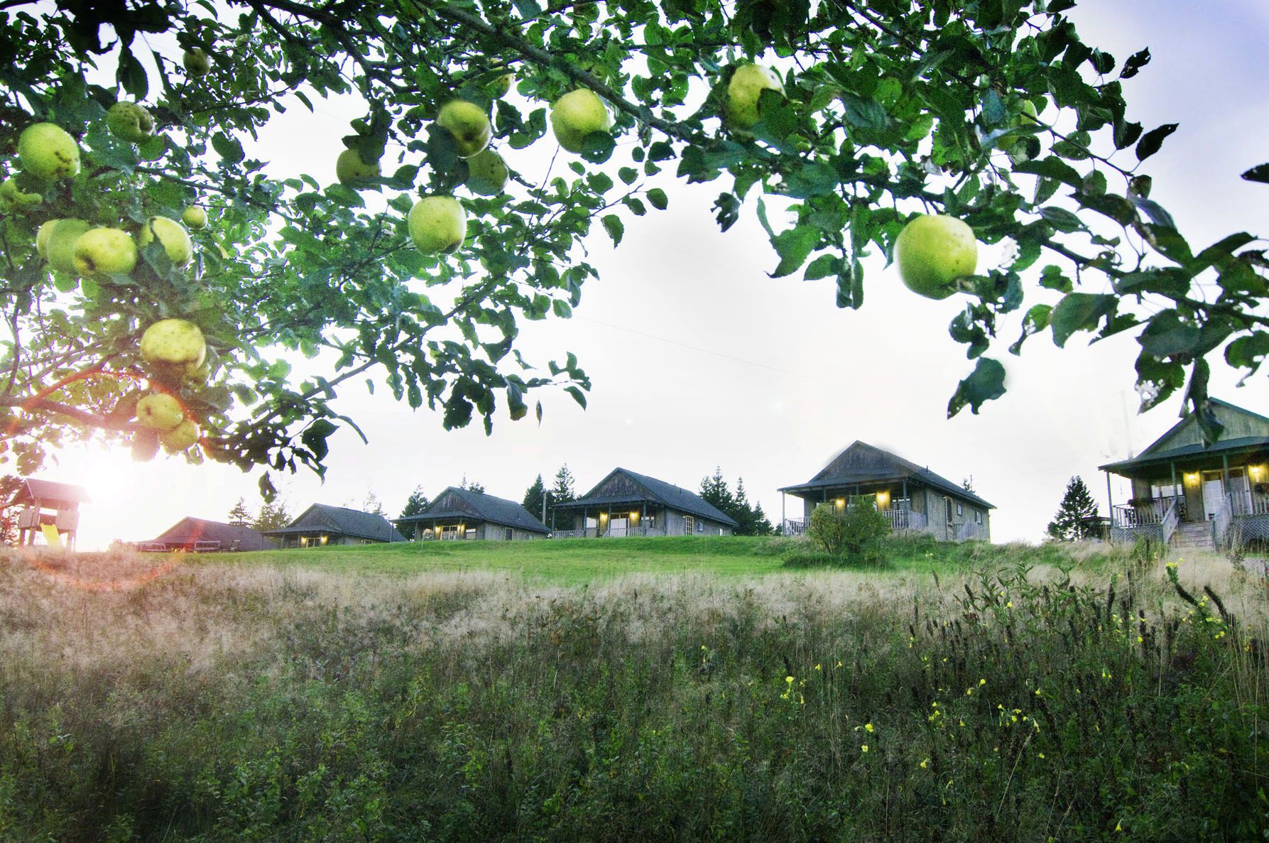 Captain&s;s Lookout Cottages - Cover photo