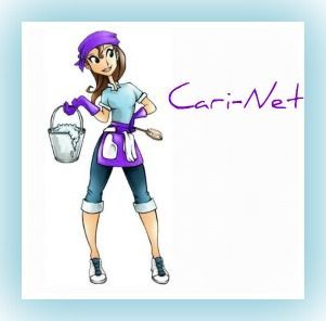 Cari-Net - Logo