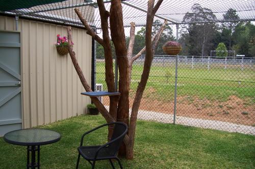 Carlyn Park Cattery - Cover photo