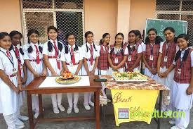 Carmel Convent English Medium School - Logo