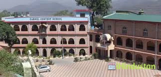 Carmel Convent Senior Secondary School - Logo