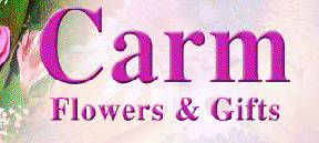 Carm Flowers &a; Gifts - Logo