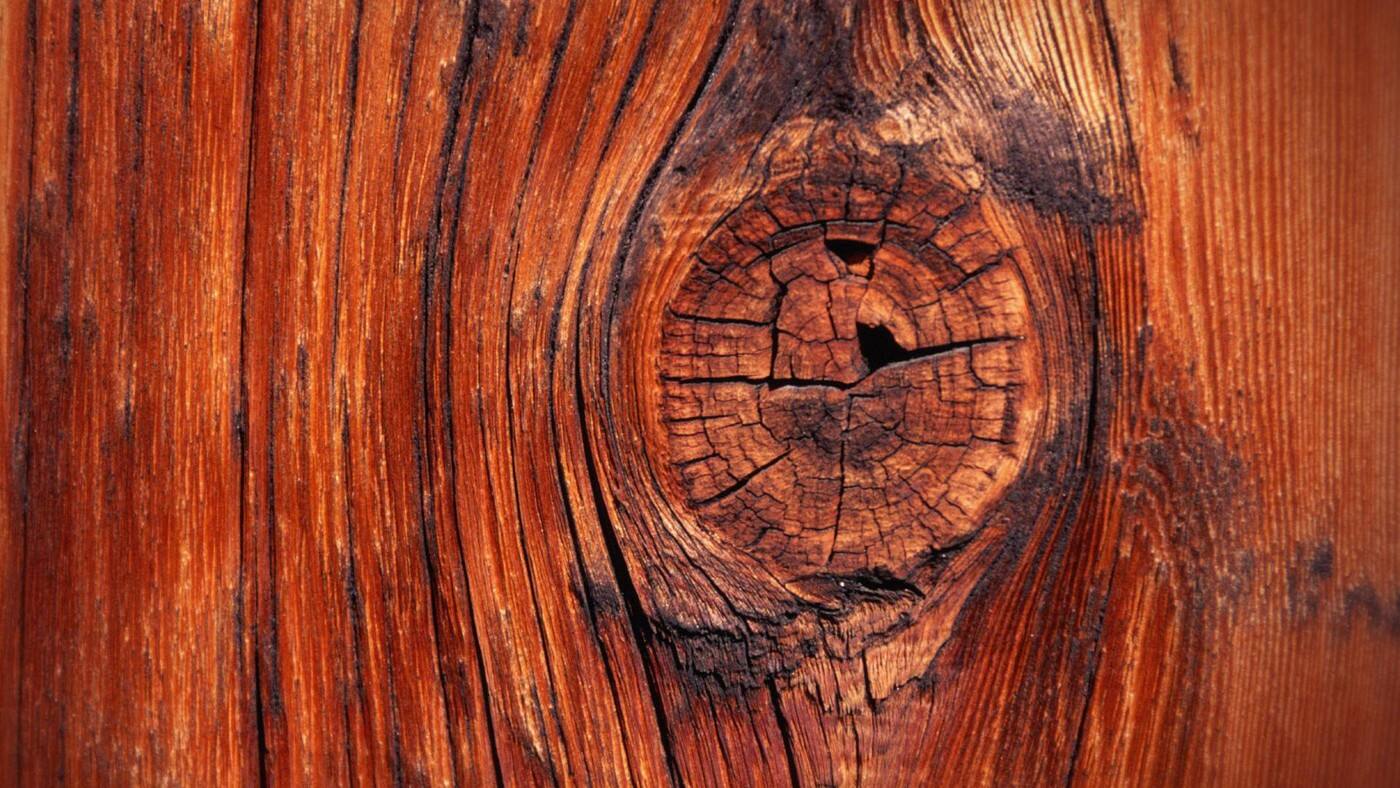 Carpentry and Maintenance - Cover photo