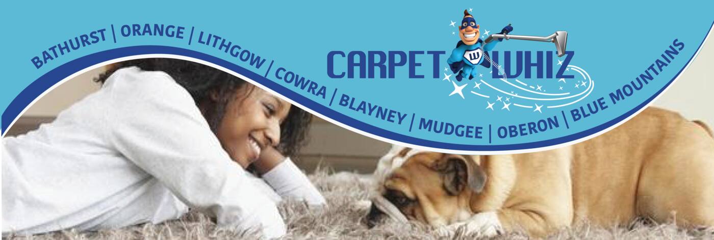 Carpet Whiz - Cover photo