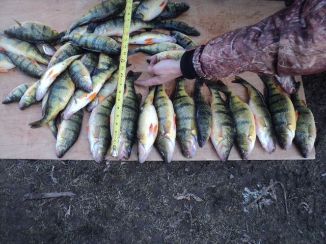 Casey&s;s Bait &a; Tackle Shop - Cover photo