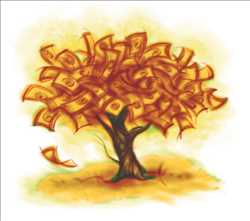 Cash Tree Realty 455066 - Logo