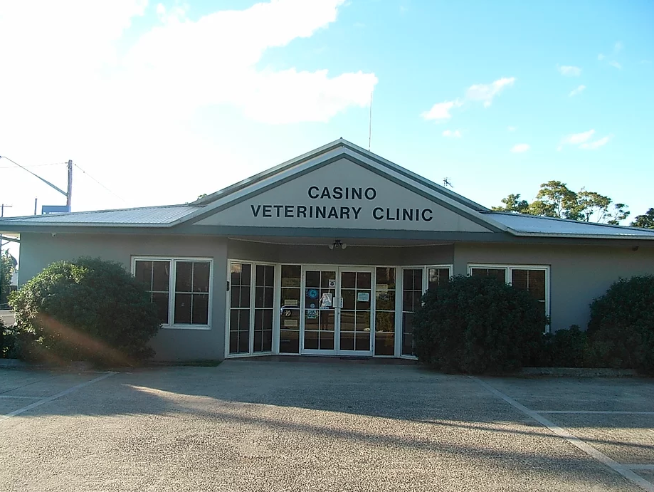 Casino Veterinary Clinic - Cover photo