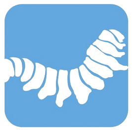 Caterpillar Web Design - Logo
