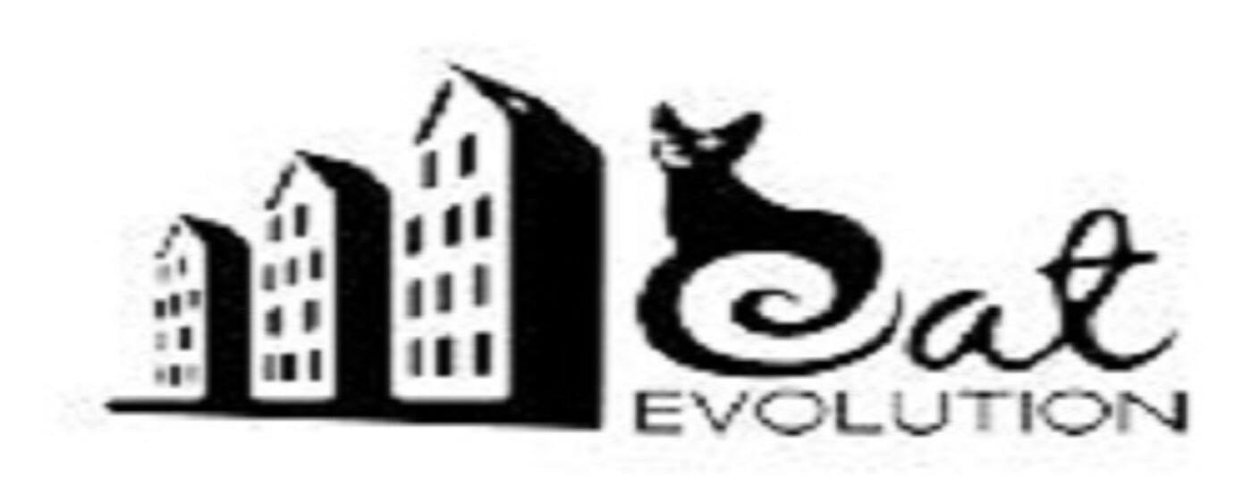Cat Evolution - Cover photo