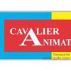 Cavalier Animation & Technologies Pvt.Ltd. (CAMC) - Logo