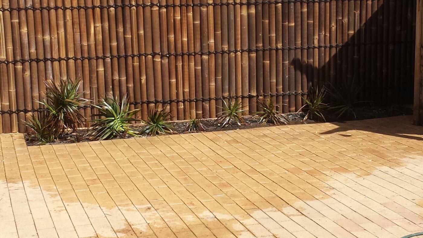 Caveman Pty Ltd - Cover photo