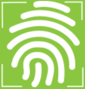 CCBS Ltd. - Logo