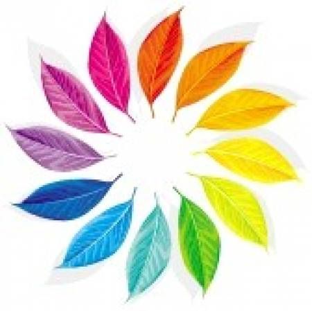 Cécile Services Ménagers - Logo